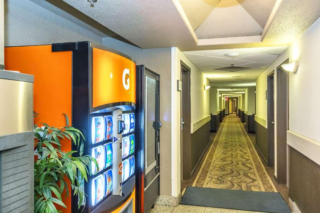 Quality Inn & Suites Йорктон Зручності фото